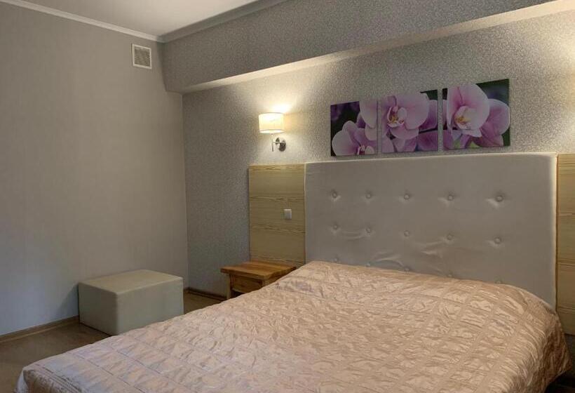 فندق Viktoria Park