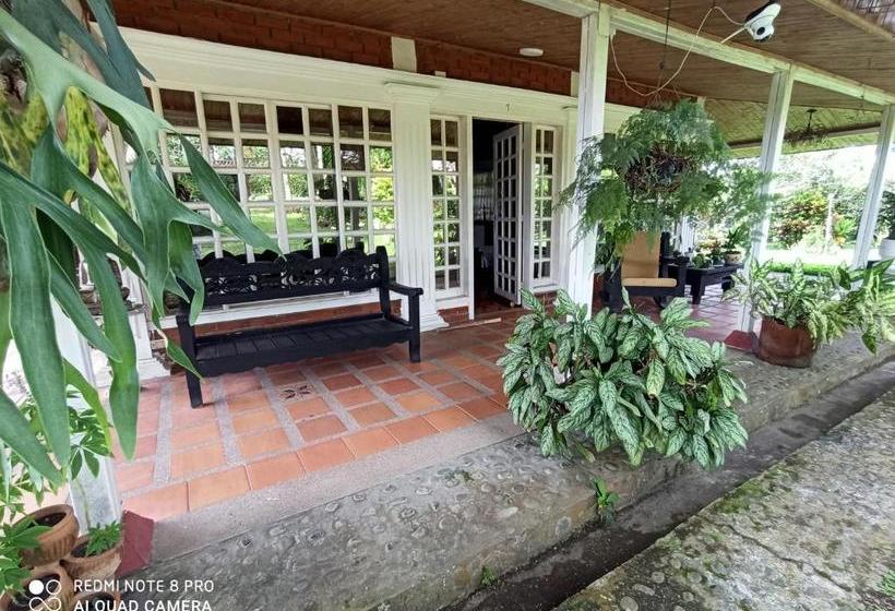 Отель Villa Monica