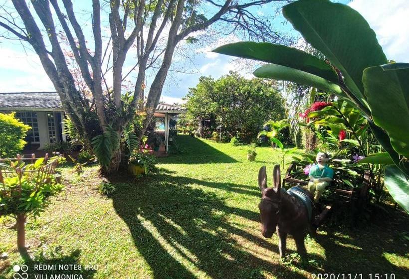 Отель Villa Monica