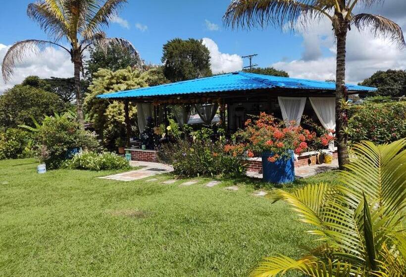 Отель Villa Monica