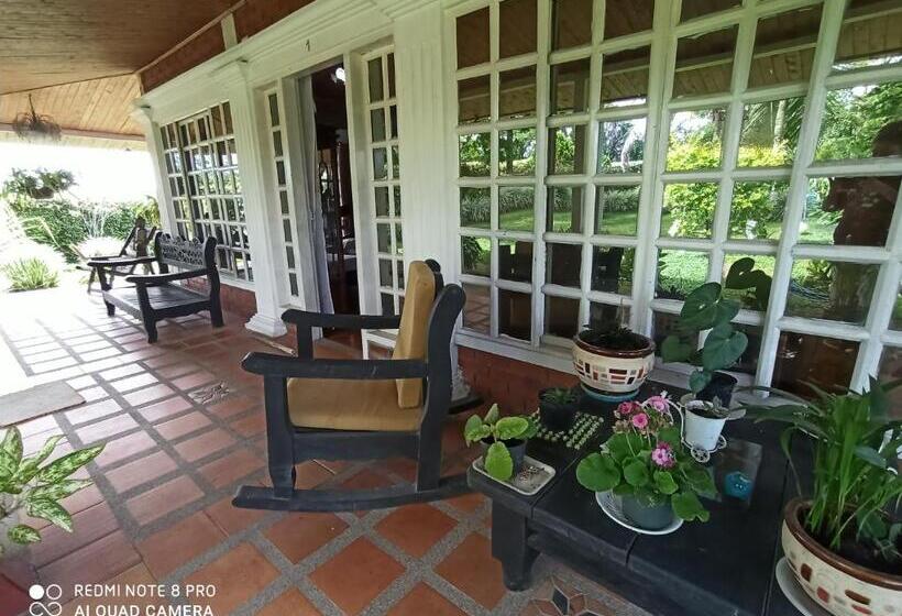 Отель Villa Monica