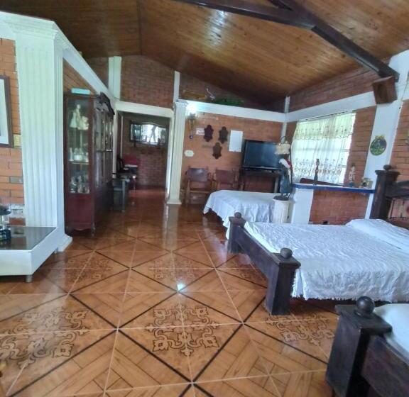 Отель Villa Monica