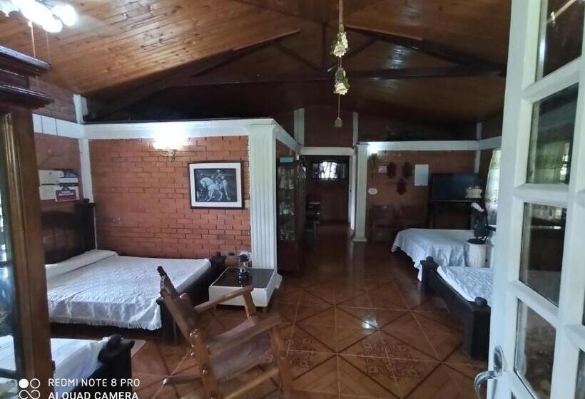 Отель Villa Monica