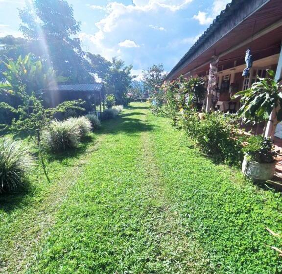 Отель Villa Monica