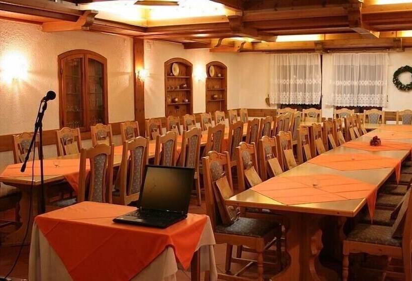 Отель Waldmünchner Stub'n