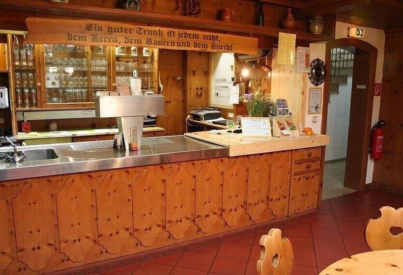 Отель Waldmünchner Stub'n