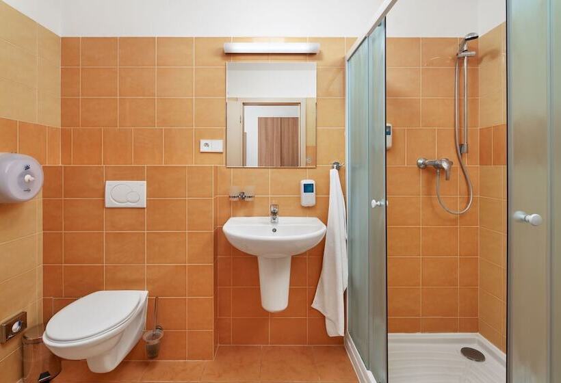 酒店 Wellness Apartmány říčky V Orlických Horách