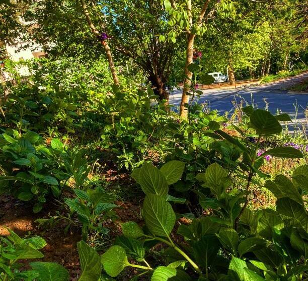 مُتل Kapri Termal Hotel & Kaplica Yalova