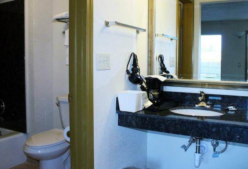 汽车旅馆 Royal Inn & Suites