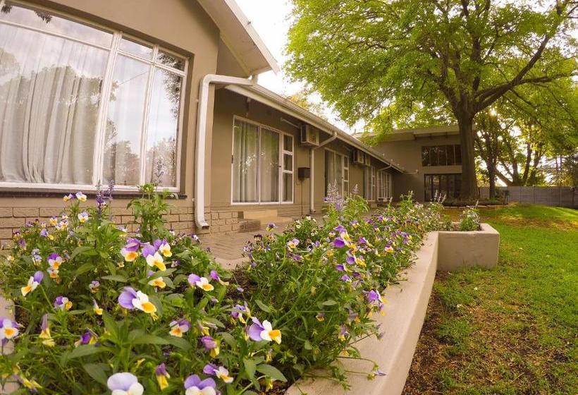 بنسيون 44 On Billingham