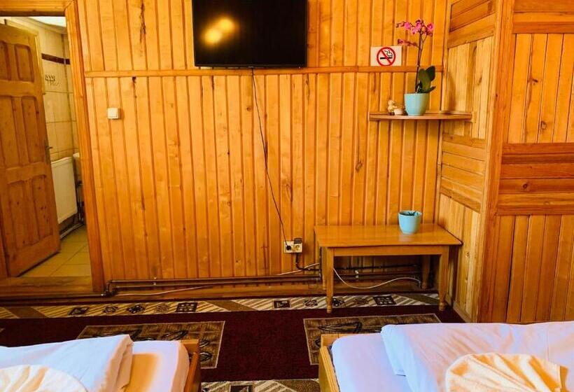 Пансион Casa Andu