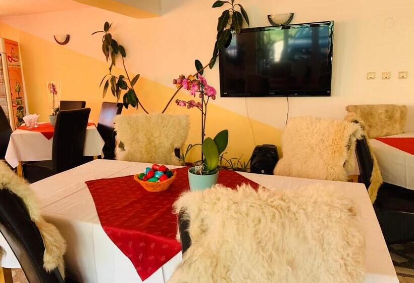 Пансион Casa Andu