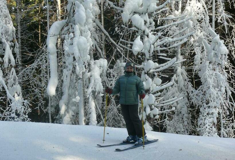 بنسيون Chalet Truten