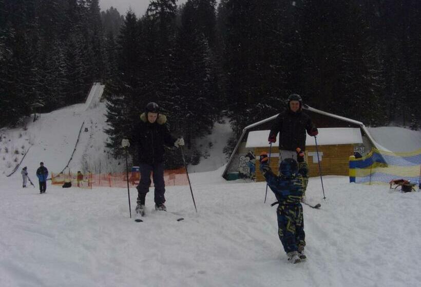 بنسيون Chalet Truten