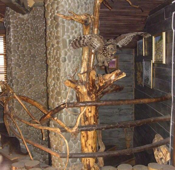 بنسيون Chalet Truten