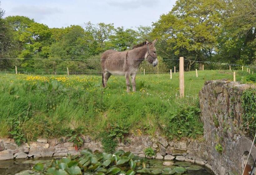 פנסיון Chambre D’hôtes La Ferté