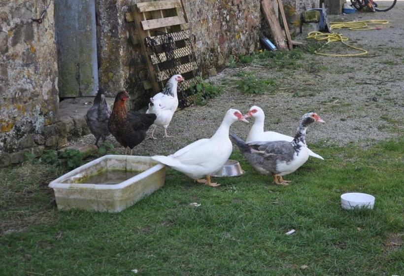 פנסיון Chambre D’hôtes La Ferté