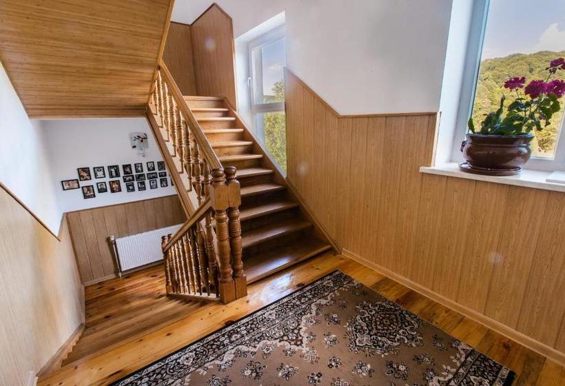 פנסיון Fazenda Raiter