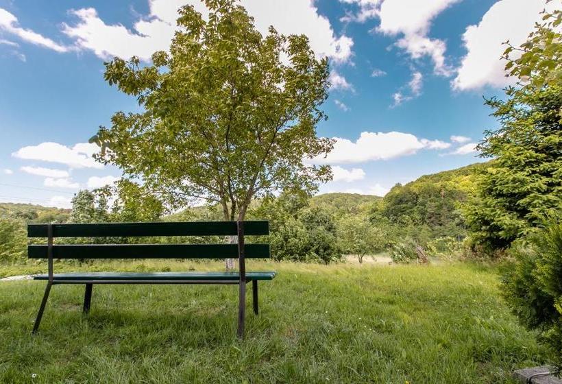 פנסיון Fazenda Raiter