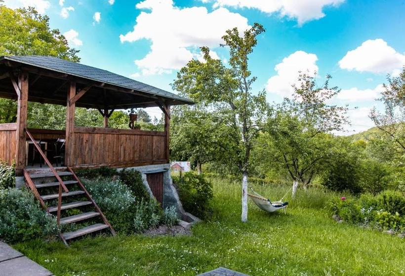 פנסיון Fazenda Raiter