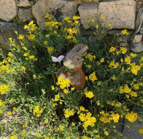 بنسيون Le Clos St Georges