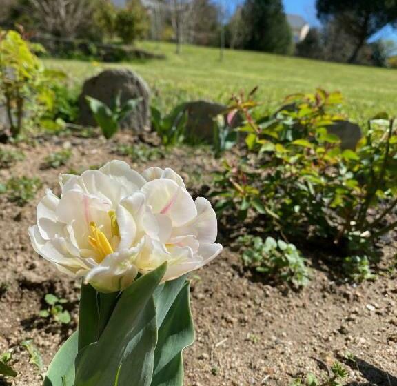 بنسيون Le Clos St Georges