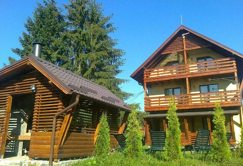 Пансион Pensiunile Zori De Zi și Apus De Soare