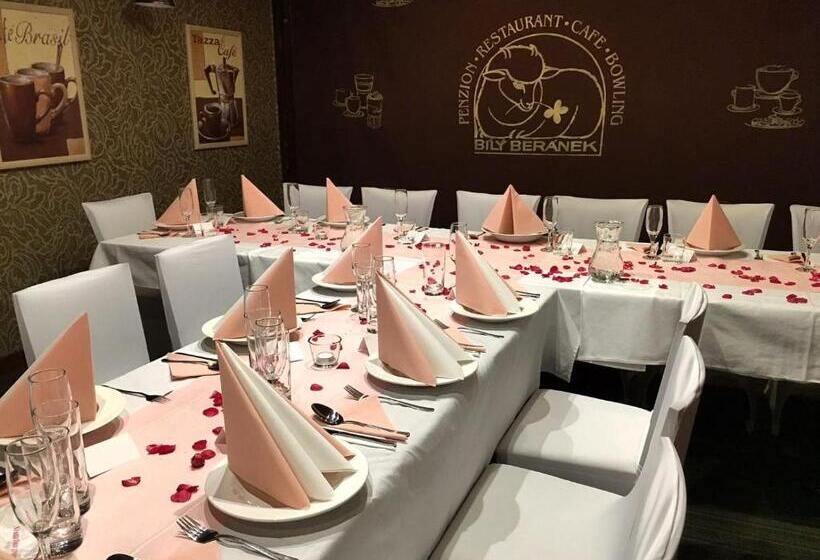 פנסיון Penzion Bily Beranek