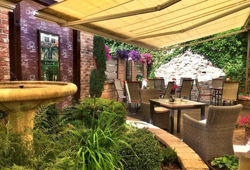 פנסיון Penzion Bily Beranek