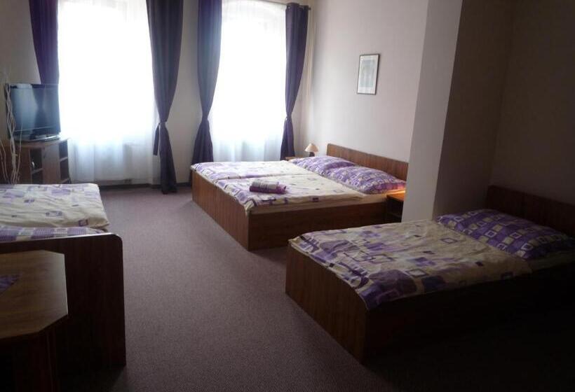 פנסיון Penzion Bily Beranek