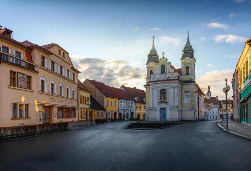 بنسيون Penzion Panský Dům