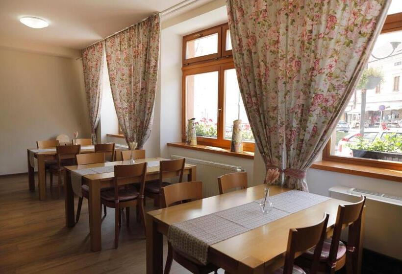 بنسيون Penzion Panský Dům