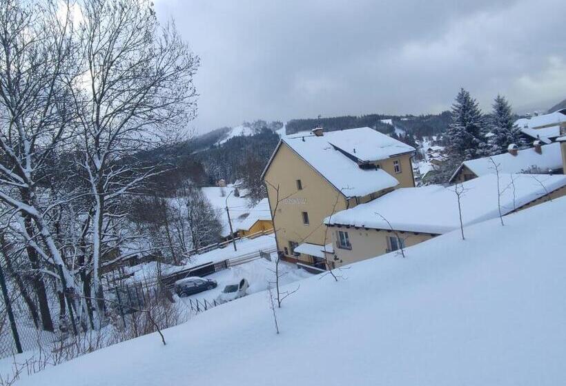 펜션 Penzion Sally