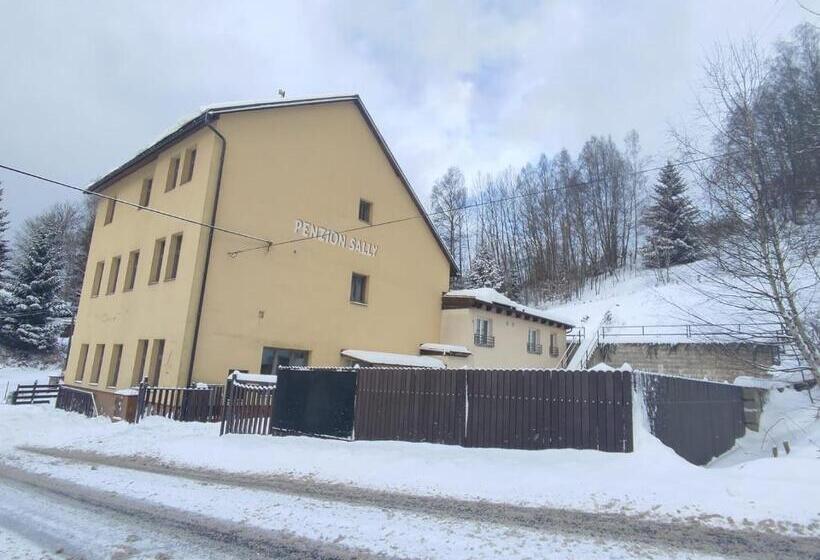 펜션 Penzion Sally