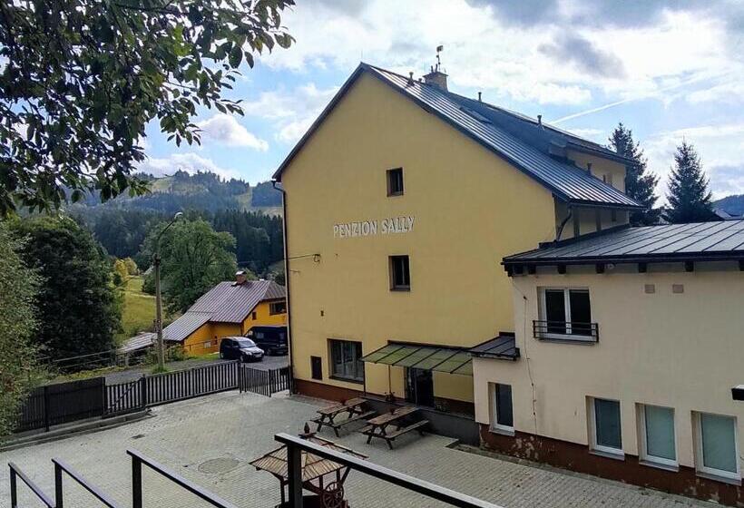 펜션 Penzion Sally