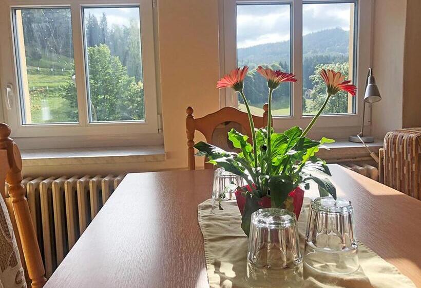 펜션 Penzion Sally