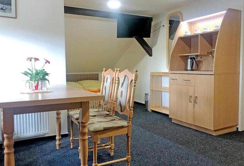 펜션 Penzion Sally