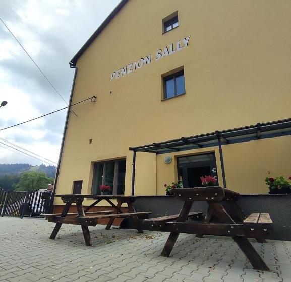 펜션 Penzion Sally