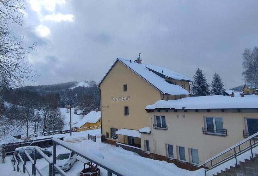 펜션 Penzion Sally