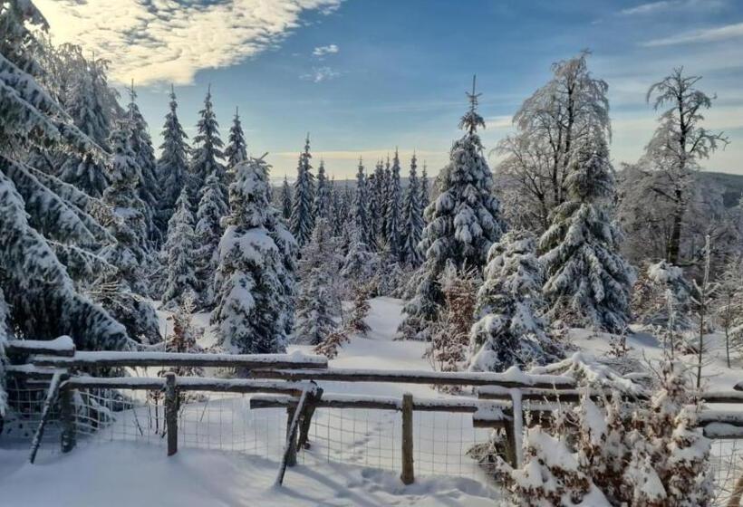 펜션 Penzion Sally