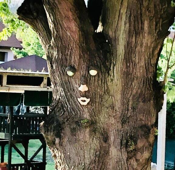 ペンション Penzion Trámky