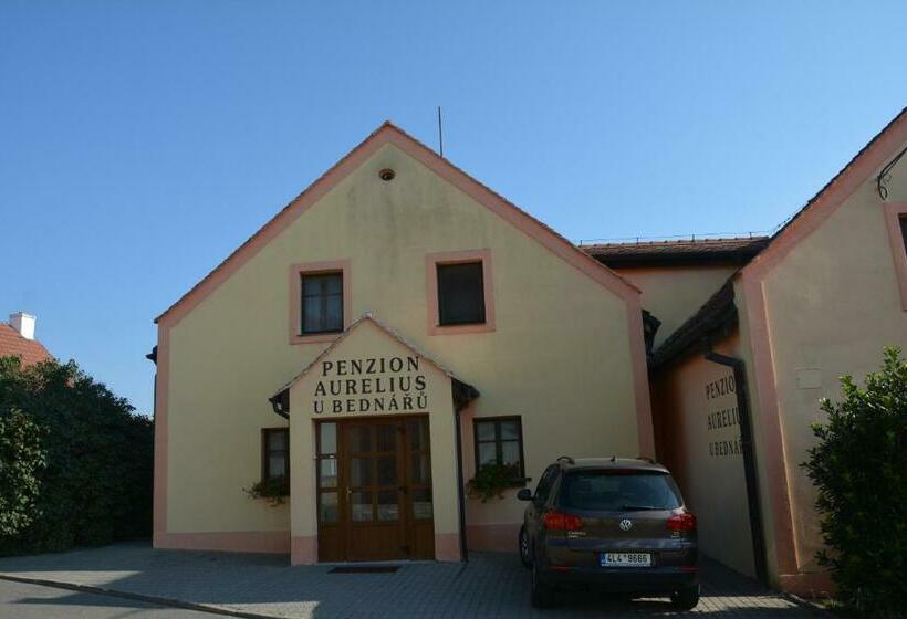 펜션 Penzion U Bednářů