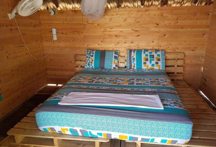 פנסיון The Wizard & Bar Baru