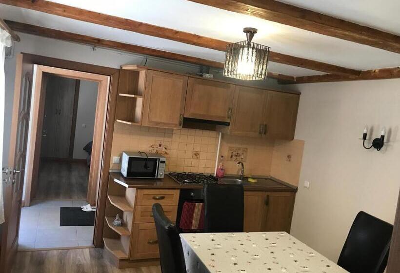 Pensiunea Haiduc Sacele Brasov