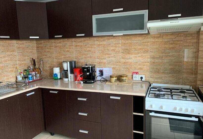 Pensiunea Haiduc Sacele Brasov