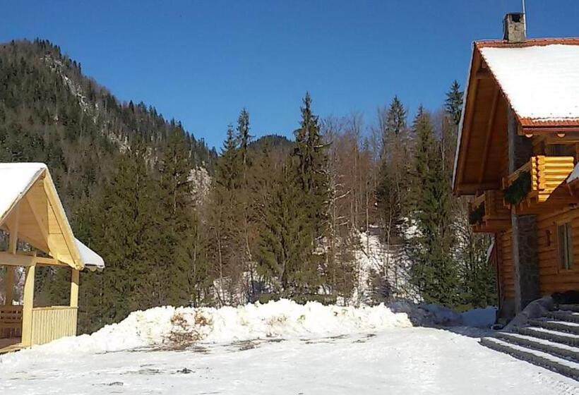 Pensiunea Izbucul Tauz