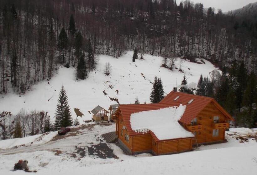 Pensiunea Izbucul Tauz