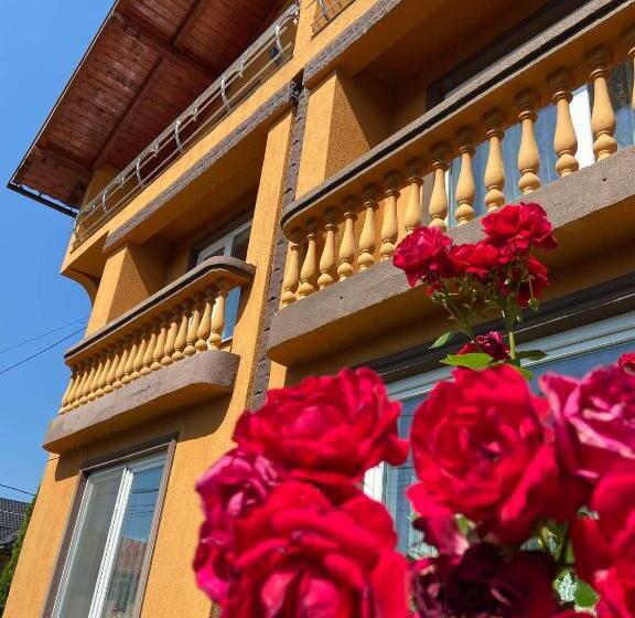 Pensiunea Montana Sapinta