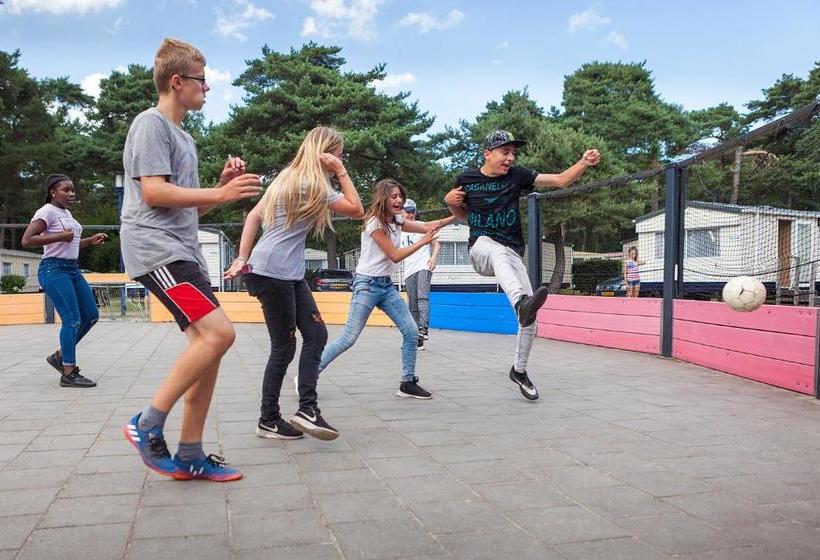 リゾートホテル Camping Blauwe Meer Nv