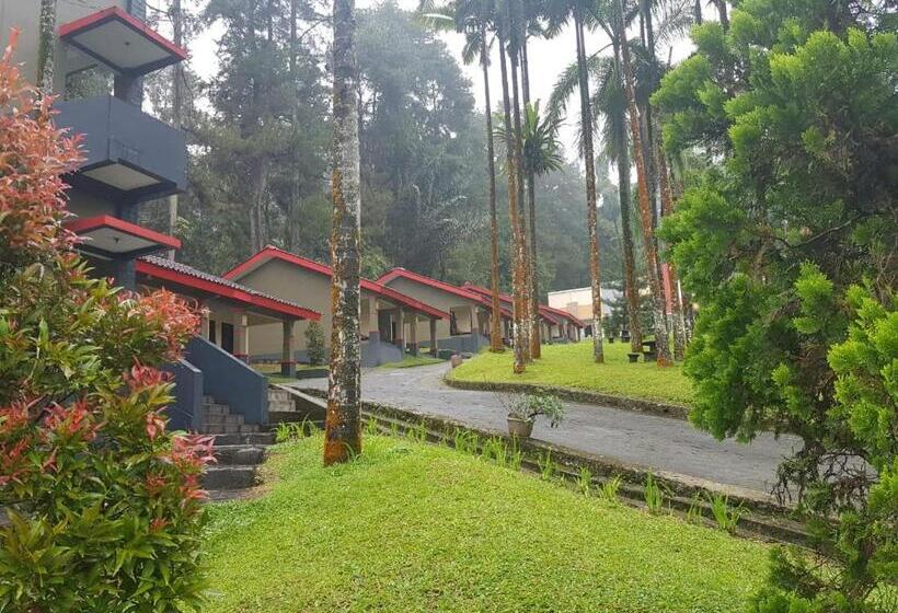 Surya Hotel & Resort